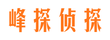 水磨沟商务调查